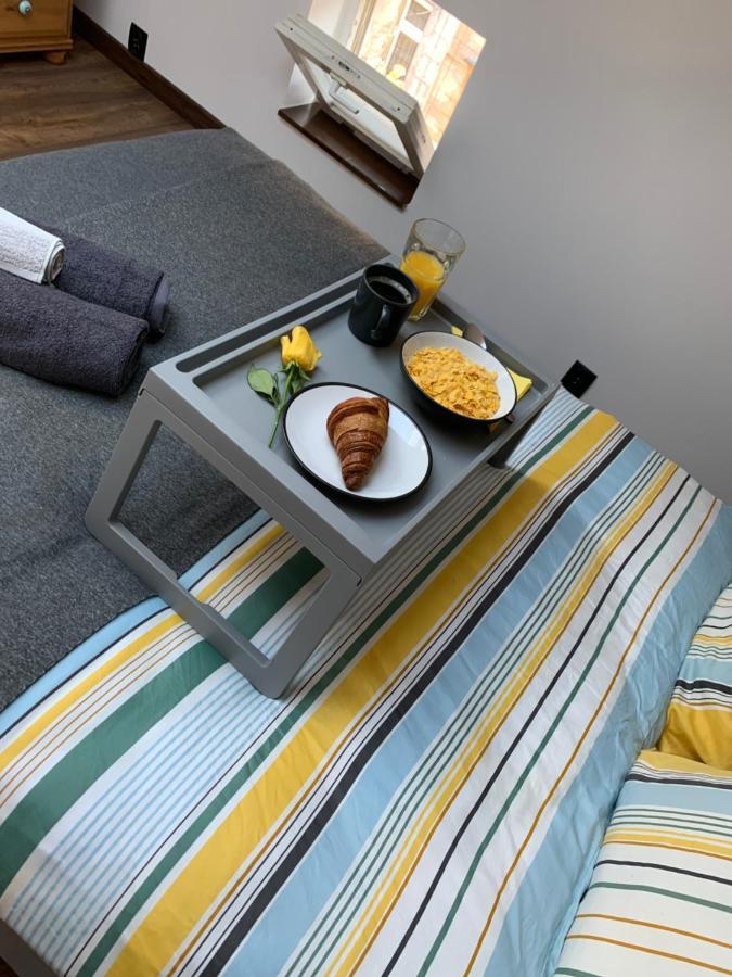 Berek Loft - Old Town Apartament