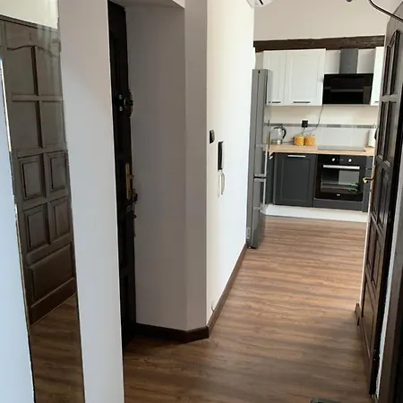 Appartamento Berek Loft - Old Town Cracovia Esterno foto
